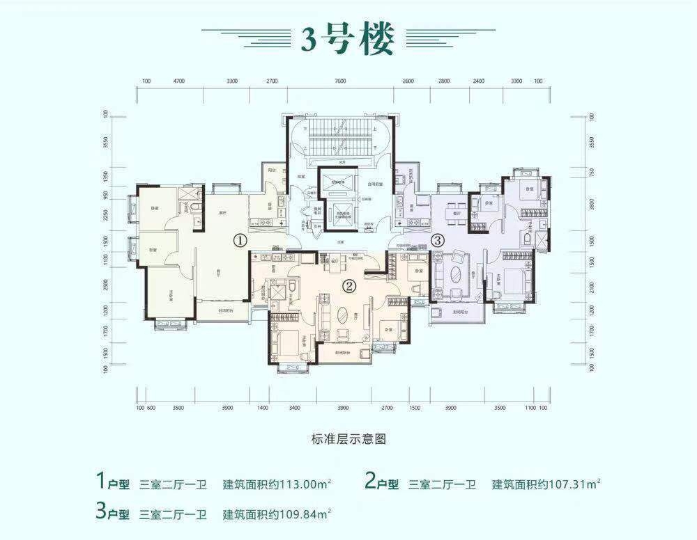 3号楼3户型