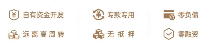 连续三年高新区销冠，嘉地·利达璞园3期项目详情
