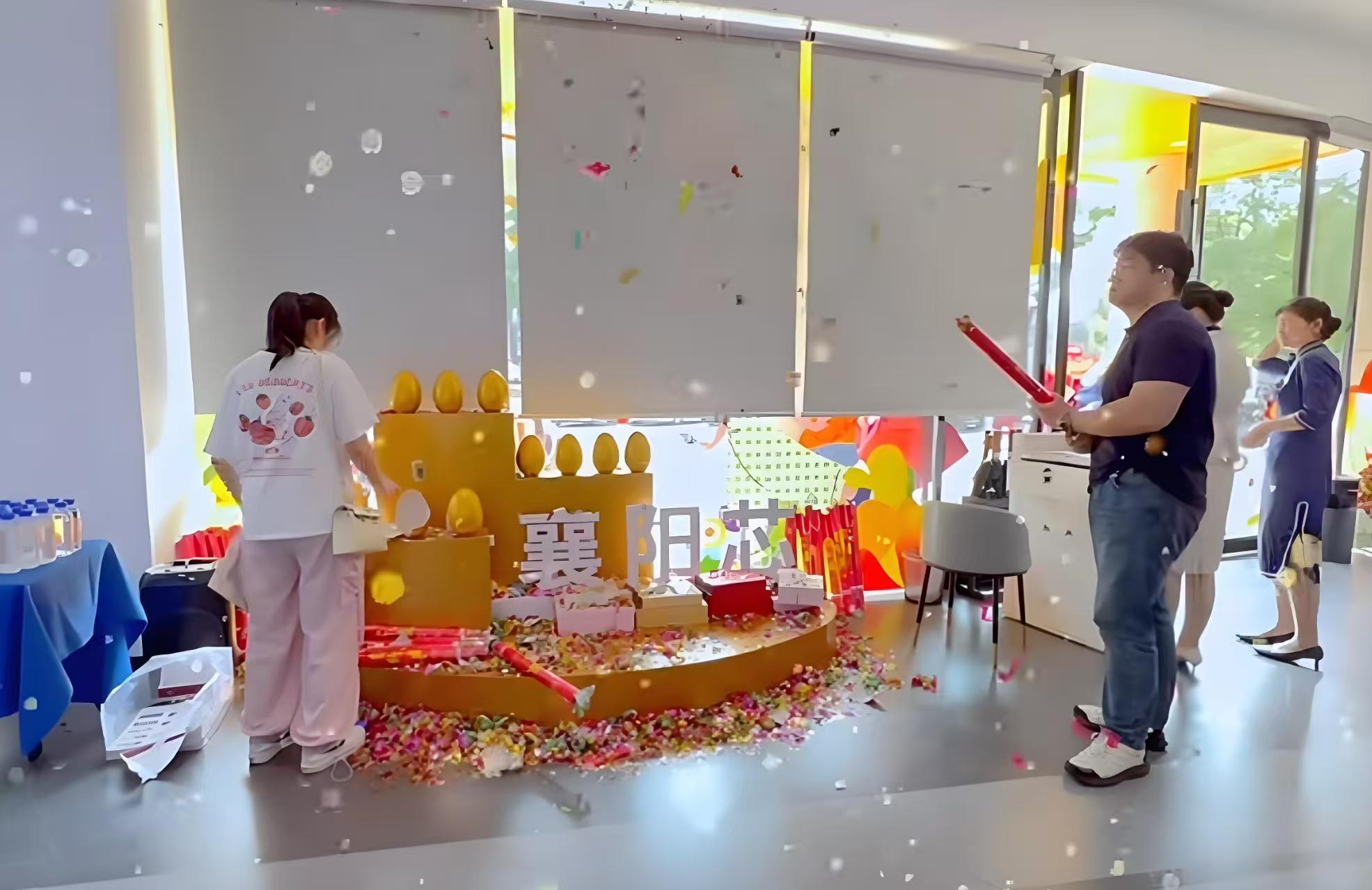 国投·襄阳芯 (4)